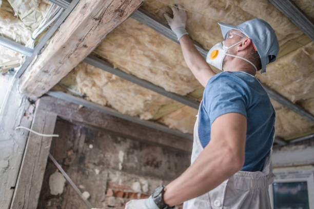 Best Cellulose Insulation in Washington, IA